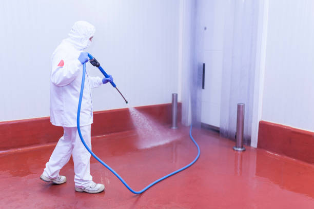 Best House Exterior Washing  in Port Chester, NY